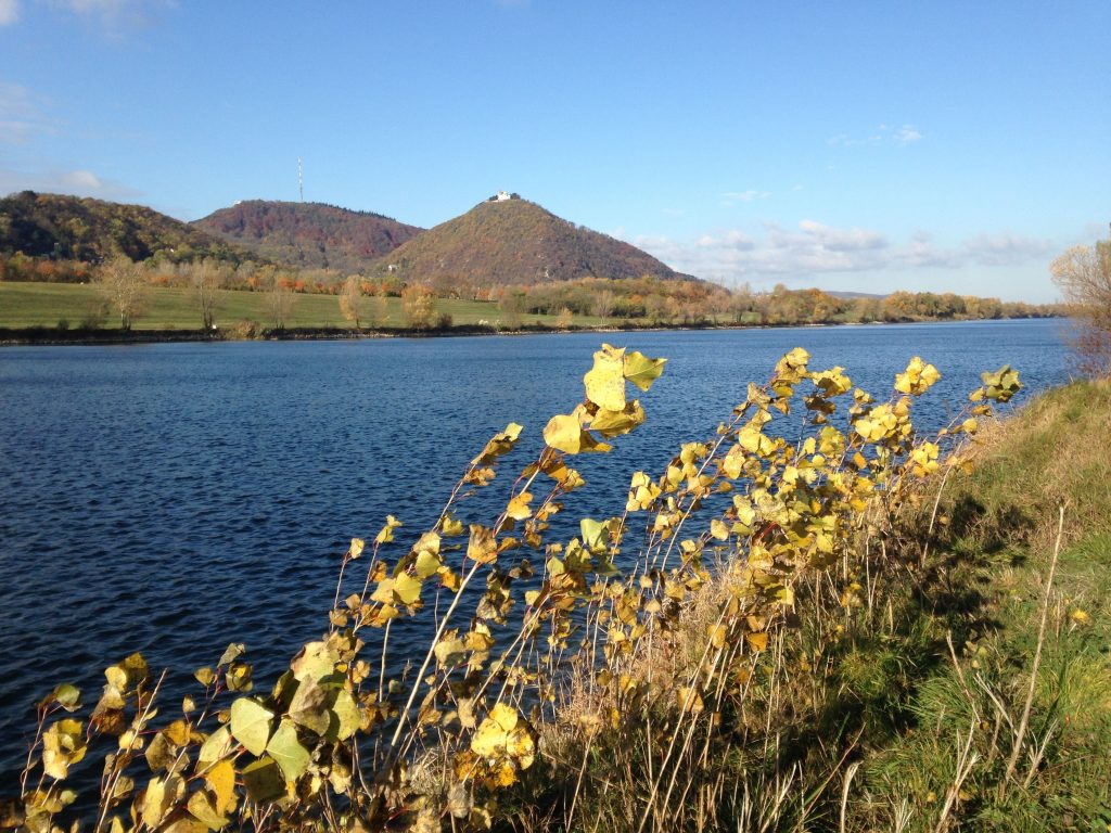 Spaziergang an der Donau, Wien