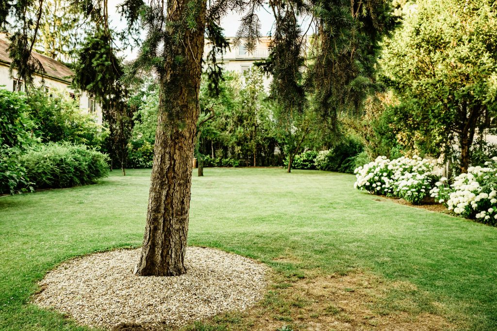 Yogacoaching im Wolkenturm, Garten